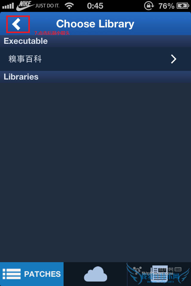 苹果手机flex去广告教程