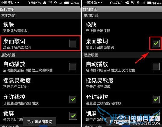 勾选上显示歌词选项