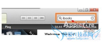 iTunes中搜索iBooks应用软件