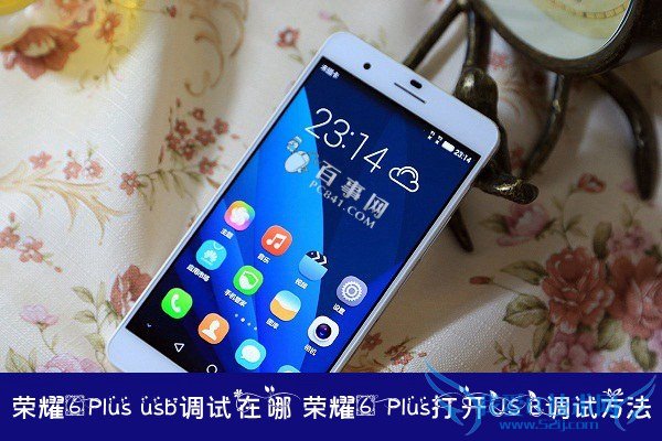 ҫ6Plus usb ҫ6 PlusUSBԷ