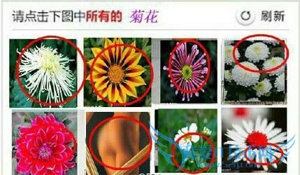 12306֤ͼƬˢ²ô 12306֤ˢƵ̫ 