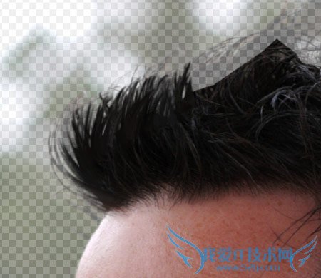 实用抠图教程:涂抹工具抠图