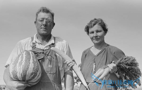 PhotoshopϾɺɫƬɫ̳