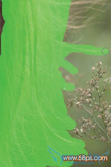 实用抠图教程:利用抽出及通道完美的抠出头发散乱的外景人物