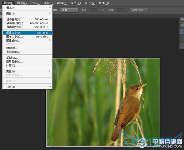 ͼƬصô죿PSرͼĴ̳