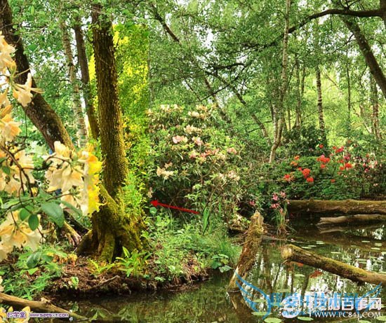 Psʵ̳̣PSλΨĻľͼƬ