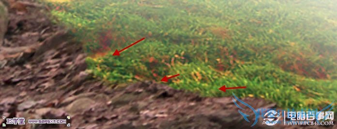 Psʵ̳̣PSλΨĻľͼƬ