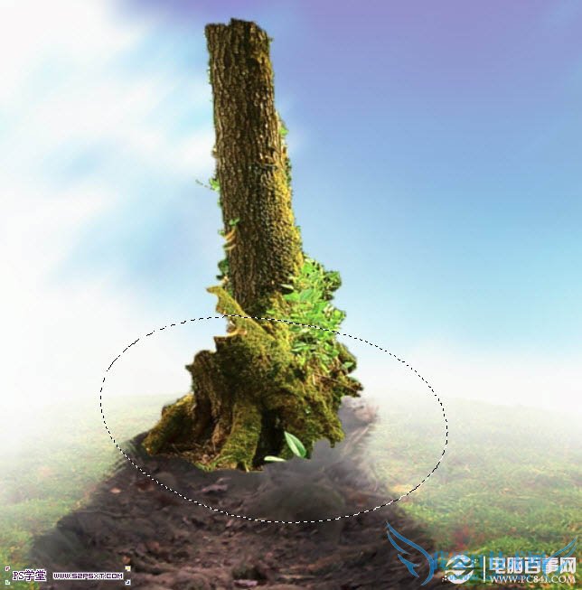 Psʵ̳̣PSλΨĻľͼƬ