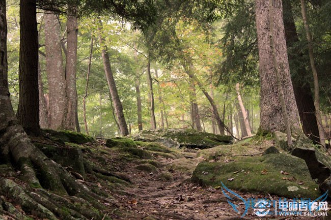 Psʵ̳̣PSλΨĻľͼƬ