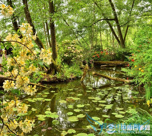 Psʵ̳̣PSλΨĻľͼƬ