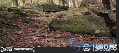 Psʵ̳̣PSλΨĻľͼƬ