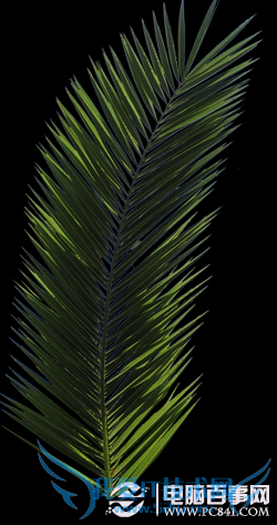 Psʵ̳̣PSλΨĻľͼƬ