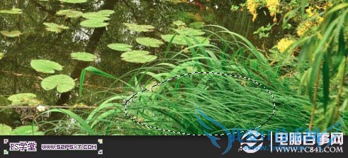 Psʵ̳̣PSλΨĻľͼƬ