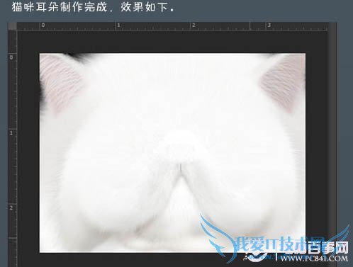 photoshop ̬Сèͷ ҰIT