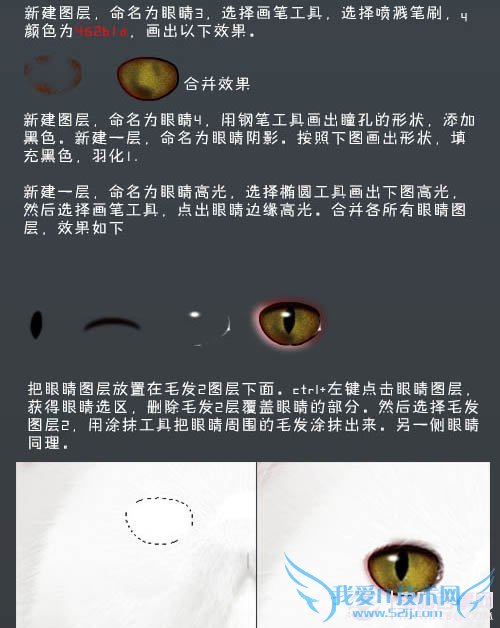 photoshop ̬Сèͷ ҰIT