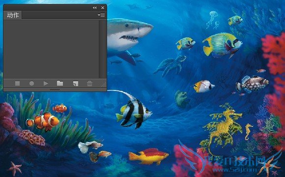 ps怎么使用动作进行批量修改图片 详细步骤