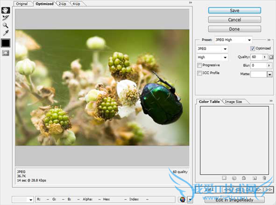 PSͼƬ洢Ϊwebøʽѷʽ