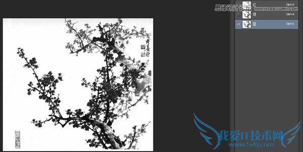 Photoshopͨ߿ٿٳй÷