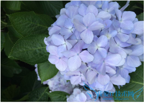 细说像素、分辨率概念,点阵及矢量图象特点