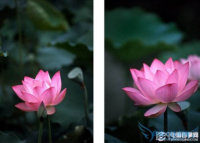 新手看过来,摄影中的选择和注意事项