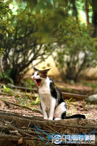 新手看过来,摄影中的选择和注意事项