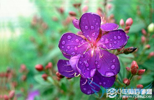 新手看过来,摄影中的选择和注意事项