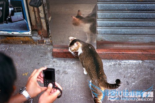 新手看过来,摄影中的选择和注意事项