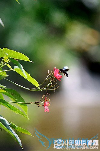 新手看过来,摄影中的选择和注意事项 www.pc841.com