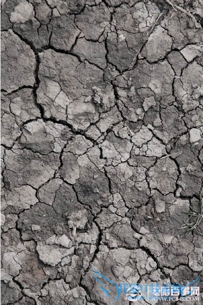 利用滤镜及画笔给人物增加飘逸流体效果