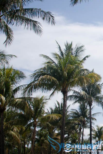 利用滤镜及画笔给人物增加飘逸流体效果