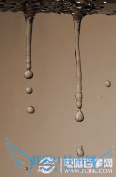 PS合成教程-滴水玫瑰的制作【原图03】