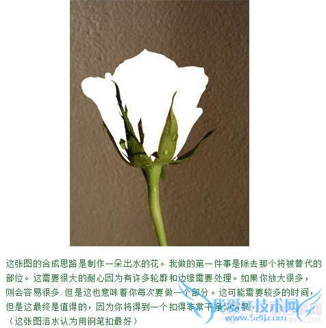 PS合成教程-滴水玫瑰的制作【教学步骤01】