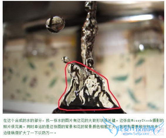 PS合成教程-滴水玫瑰的制作【教学步骤03】