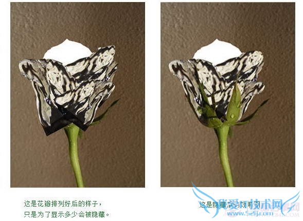 PS合成教程-滴水玫瑰的制作【教学步骤06】