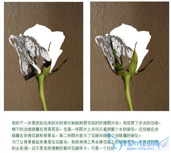 PS合成教程-滴水玫瑰的制作【教学步骤04】