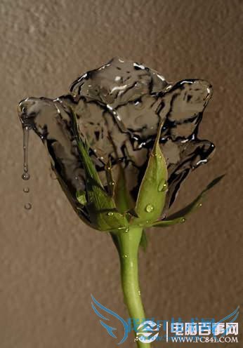 PS合成教程-滴水玫瑰的制作【效果图】