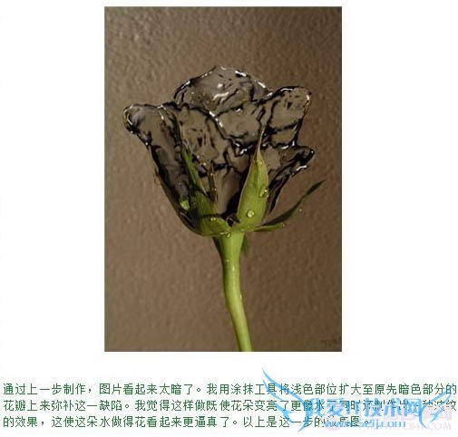 PS合成教程-滴水玫瑰的制作【教学步骤11】