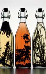 PS抠图技巧:图像去除背景方法