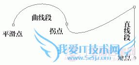 PS抠图技巧:图像去除背景方法