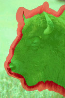 PS抠图技巧:图像去除背景方法