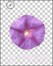 PS抠图技巧:图像去除背景方法