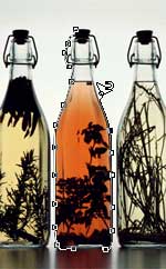 PS抠图技巧:图像去除背景方法