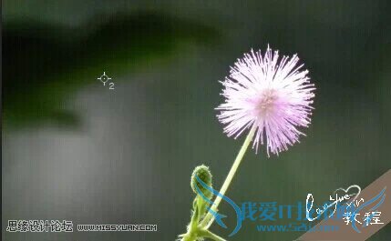 Photoshopͨ¹ýºÚ³¡ÃüÁîÖÆ×÷³¬¿áµÄ¹âӰЧ¹û