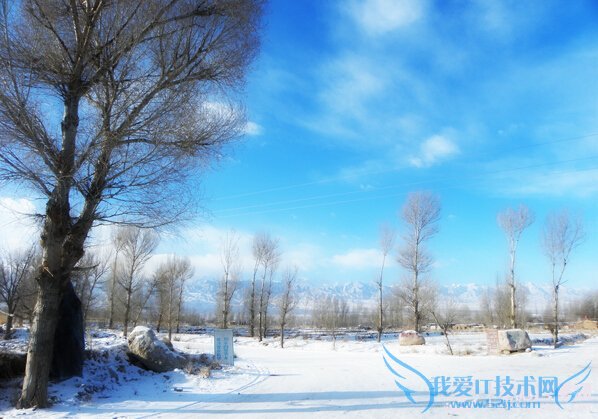 PhotoshopŮѩЧ ҰIT