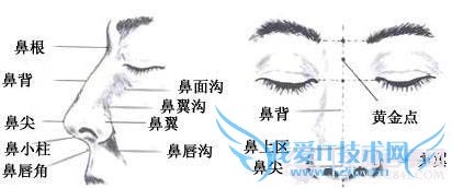 img201007271409460 Photoshop鼠绘漂亮的金发美女模特