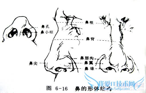 img201007271409150 Photoshop鼠绘漂亮的金发美女模特