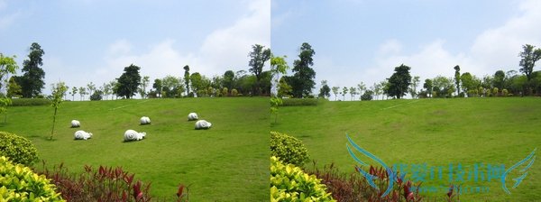 ˵˵Щߴϣʵȴܼ򵥵PSɣ