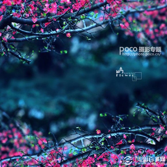 PhotoshopΨɫЧ ҰIT