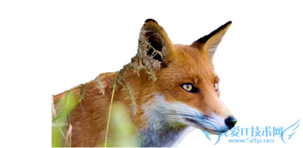 photoshopˮЧ  ˮͼƬ̳