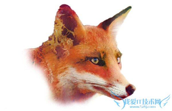 photoshopˮЧ  ˮͼƬ̳